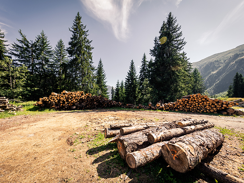 Brennholzservice – Holzlagerplatz Blatten